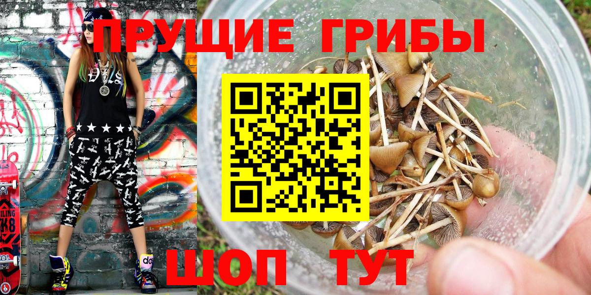 Галлюциногенные грибы MAGIC MUSHROOMS Сухой Лог