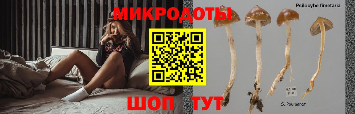 Сухой Лог  Галлюциногенные грибы прущие грибы  Вход с VPN 